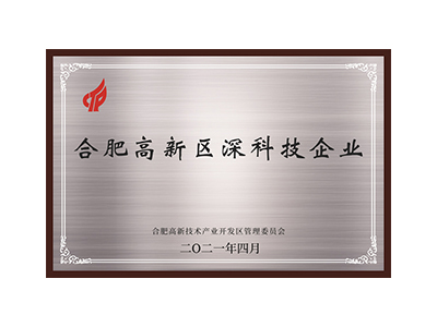 Hefei High-Tech Zone Deep Technology Enterprise