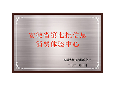Die siebte Reihe von Informationskonsum-Erlebniszentren in der Provinz Anhui